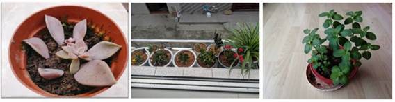 说明: //mmbiz.qpic.cn/mmbiz_png/wqpAzVXicP0r982prHyJNpVIpCzQq9EEwl506kORedtCpy27029c0TuFlTYnwuibLJWia42COicgCIDq24hW9rrjWA/640?wx_fmt=png&tp=webp&wxfrom=5&wx_lazy=1&wx_co=1